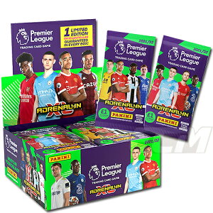 PRE21yzPANINI Adrenalyn XL v~A[O 21-22 pbN̔yTbJ[/gJ/Premier League/g[fBOJ[hz