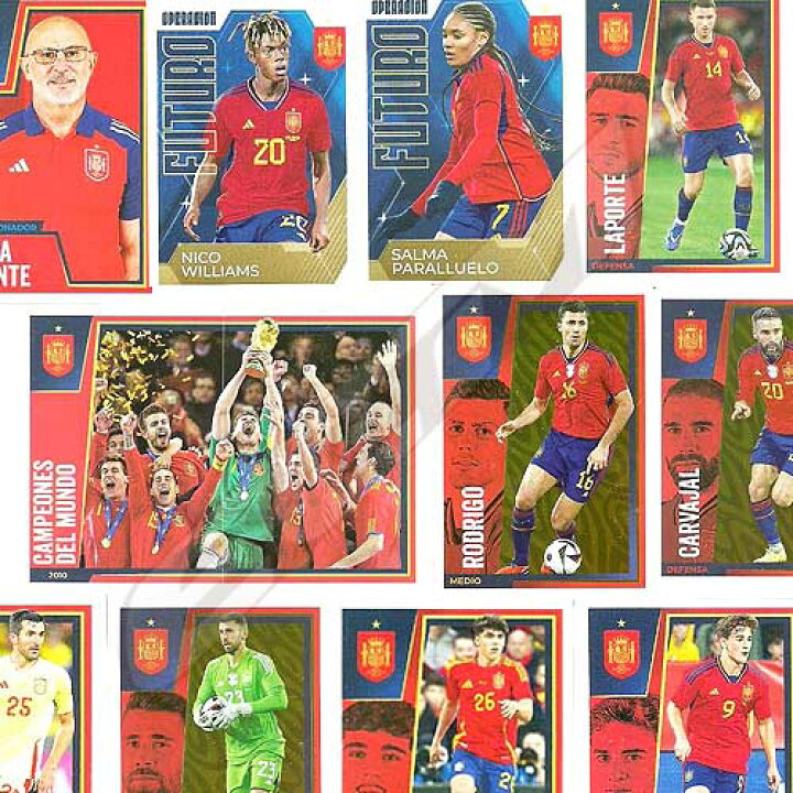 楽天市場】【予約ESC01】【国内未発売】PANINI スペイン代表 2024 