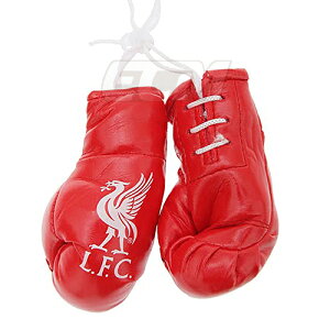 yzov[ ItBVObY ~jO[uyTbJ[/ov[/v~A[O/Liverpool/ANZT[zlR|XΉ\