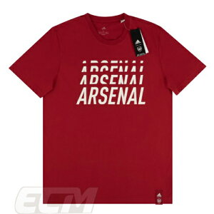 【予約ECM32】【国内未発売】アーセナル グラフィック Tシャツ レッド【19-20/Arsenal/サッカー/プレミアリーグ/トレーニング】330