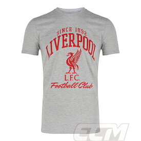 【国内未発売】PRM15 子供用 SP2376リバプール 公式ライセンス Tシャツ グレー ジュニアサイズ【Liverpool/サッカー/プレミアリーグ】ネコポス対応可能