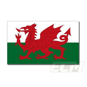 yT|[^[KzEF[Y @tbOyTbJ[/EF[Y\/Weles/ObY/IsbN/[hJbv/World CupzlR|XΉ\