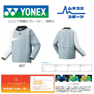 yzYONEXWjAVu[J[@90091J