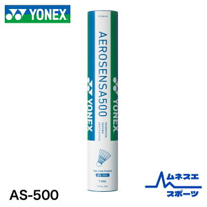 y10_[Xz lbNX oh~gVg GAZT500 AS-500 ϋv Kp p 