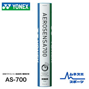 y10_[Xz yr[e300~OFFN[|zzIzyzlbNX GAZT700 j {oh~g2팟苅 1-5 10_[X AS-700