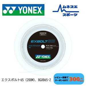 ロール バドミントン ガット エクスボルト65」の人気商品一覧・価格 