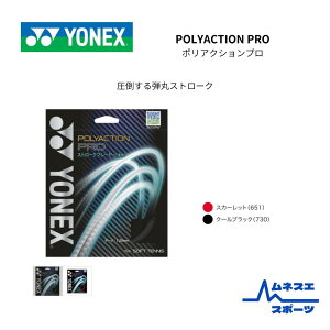 yzYONEX lbNX \tgejXKbg SGPP |ANVv POLYACTION PRO ϋv ×  |GXe Xg[Nd ㋉Ҍ 1kP^[֑Ήl