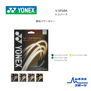 yzSGVS V-Xp[N \tgejXKbg Oqp {[ őΉ ㋉Ҍ