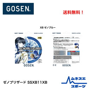 yNbN|XgΉzyzGOSEN S[Z \tgejXKbg [muU[h SSXB11XB  Rg[ I[Ehv[[ { XENOBLIZZARD [mu[