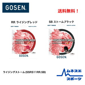 yzGOSEN S[Z \tgejXKbg CWOXg[ SSRS11  Xs[hVbg Rg[  ㋉Ҍ RISING STORM {