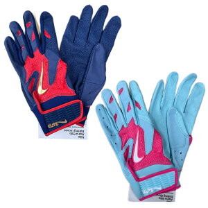 iCL NIKE obeBO At@G[g BG1203 lCr[×bh u[×sN