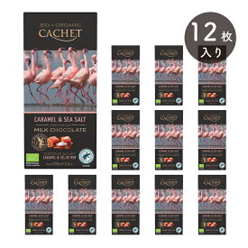 カシェ キャラメル&シーソルト 100g CACHET CARAMEL & SEA SALT 40% CACAO MILK CHOCOLATE ベルギー ミルクチョコレート [正規輸入品]
