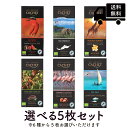 カシェ チョコレート 選べる5枚セット 90g×5枚 オーガニック ベルギー タブレット 板チョコ CACHET organic chocolate 海外 輸入 菓子 [正規輸入品]