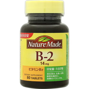 ��ː��� �l�C�`���[���C�h B-2 80��(40����)�ysmtb-TD�z�yRCP�z