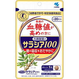 ◆エントリーで全品P5倍◆【ネコポス送料無料】小林製薬のサラシア100【60粒(約20日分)】【製薬会社/血糖値が高めな方のための、糖の吸収をおだやかにするサプリメント/中高年】【smtb-TD】【RCP】