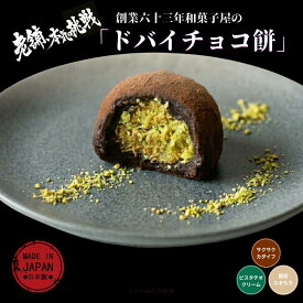 ドバイチョコ餅 ドバイチョコレート 大福 ピスタチオ 和菓子 冷凍スイーツ お取り寄せ