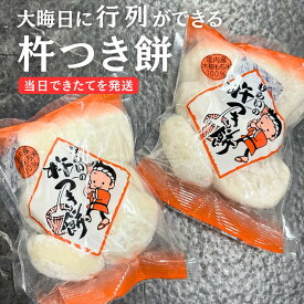 当日できたてを即発送！【お雑煮 焼餅】無添加 餅屋の杵つき餅 白餅500g 熊本県産ひよく餅のみのお餅！ お餅 国産 杵つき餅 和菓子 もち おもち 小分け パック お雑煮用 ぜんざい用 小分け 杵餅 非常食 もち きなこ餅 おしるこ 小分け 丸もち 餅 ぜんざい 和菓子