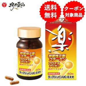 bNWCUC-IIlI 40 20 (2/) \tgJvZ UC-II ϐII^ R[Q veIOJ miMGLX Tvg Tv j 