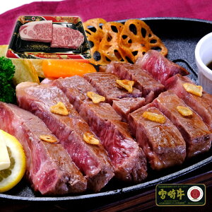 {苍 ؂Xe[L 300g Mtg AF-90 {苍 [XXe[L {錧Y јa 4 ȏ Mtg Ⓚ yMtg Ε j  j a v[g {n S