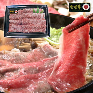 {苍 [X Ă 400g Mtg FG-800 {錧Y јa 4 ȏ Mtg Ⓚ yMtg Ε j  j a v[g {n Sz