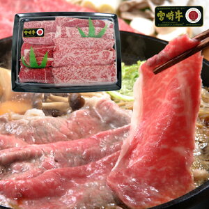 {苍 [X Ă 600g Mtg MGK-100 {錧Y јa 4 ȏ Mtg Ⓚ yMtg j  j a v[g {n Sz