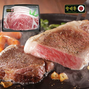 {苍 [XXe[L 150g×4 Mtg MR-600 {錧Y јa Xe[L 4lO 4 ȏ Mtg Ⓚ yΕ Mtg j  j a v[g {n Sz