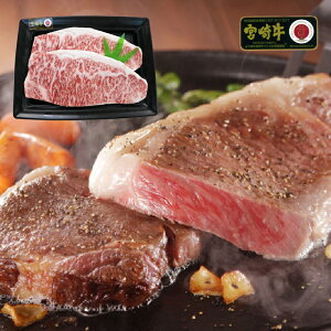 {苍 [XXe[L 200g×2 Mtg WM-1000H {錧Y јa 4 ȏ Mtg Ⓚ yΕ Mtg j  j a v[g {n Sz