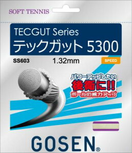 y񂹊܁zy5܂Ń[֑Ή\zGOSEN S[Z \tgejX Soft tennis \tgejXKbg TECGUT series ebNKbg5300 SS603 #V`[ #Vl #ߑւ #H~ #c # #LO