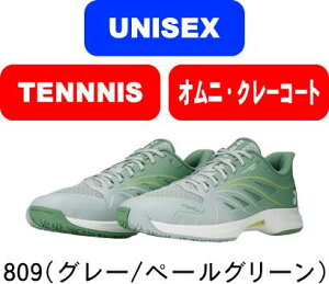y񂹊܁z YONEX lbNX ejXV[Y POWER CUSHION AERUSDASH 5 WIDE GC p[NbVGAX_bV5 Ch GC SHTAD5WG IjN[R[g #V`[ #Vl #ߑւ #H