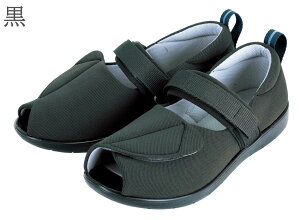 IITLfBJ ]тɂV[Y ܐȂ (1)