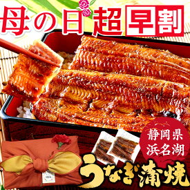 【今の値段23日まで】 母の日 プレゼント 早割 母の日ギフト ははの日2024 花以外 送料無料 静岡産 国産うなぎ 真空パック 蒲焼き2枚 無頭 ウナギ 鰻ギフト 冷凍品 カットうなぎ 化粧箱 贈り物 プレゼント お祝い 間に合う 伊豆村の駅 海老仙 風呂敷Dset