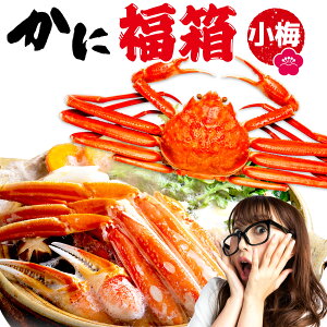 Gg[P10{ ɕ2025 YCKj A 킢I 2kgȏ ~ 󂠂܂ꂠ CN 񂹃O Mtĝ j  ސE w  Ԃ Mtg