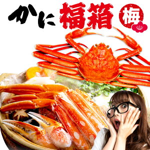 Gg[P10{ ɕ2025 YCKj Hi 킢I ƎpZbg2.7kgȏ ~ 󂠂܂ꂠ CN 񂹃O j  ސE w  Ԃ Mtg