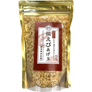 Gg[P10{ x͘pR` т т˗ނɃgbsO ɂ̋ɂD]I