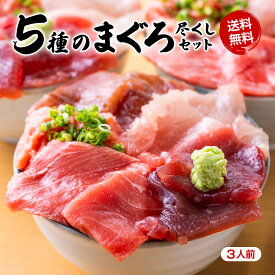 TVで紹介されました！ 5種のまぐろ丼 マグロづくし海鮮丼セット 魚介スープ付 送料無料 トロとろとろ丼 海鮮丼 お祝い 卒業 退職 入学 お礼 お返し ギフト【冷凍便】 食べ比べ 刺身 小分け まぐろ丼 マグロ丼 伊豆村の駅