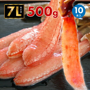 Xs[hz Gg[P10{ 킢I JMt|[V 500gpbNi10{j YCKj r MtgZbg  CN킢 I  Hו i j  ސE 