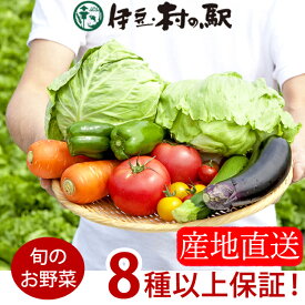 楽天ランキング連続1位★伊豆のお野菜セット リニューアルで8品以上確定！お中元ギフト お祝い お返し 御中元などプレゼントにも おまかせ季節の野菜詰合せセット 産地直送 季節野菜 送料無料やさいセット 伊豆村の駅★★