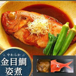 Xs[hz Gg[P10{ Jln`  Mtg  jv[g ڑy퉷zڑ̂炩ϕt Y Ԍ  MtgZbg  CN v