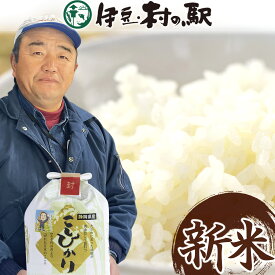 《送料込》 令和7年度産 新米2025 コシヒカリ 静岡県産 送料無料 お祝い 卒業 退職 入学 お礼 お返し ギフト 米 白米 新米 2キロ 5キロ 内のし対応【冷凍便商品との同梱不可】お祝い熨斗