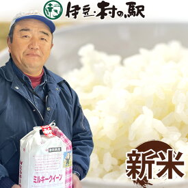 新米2025 2kg 5kg 《送料込》 令和7年度産 ミルキークイーン 静岡県産 送料無料 お祝い 卒業 退職 入学 お礼 お返し ギフト 米 白米 新米 令和7年 2キロ 5キロ 内のし対応【冷凍便商品との同梱不可】お祝い熨斗