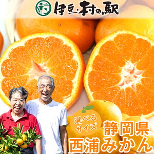 ᑗYnIIׂ鐼Y݂3kg 5kg 10kg ݂ ~J OKIlCt[c̑蕨 Ε NX}X  j N B݂ É O ɓŐlCB݂