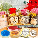 ＼スピード配送／ 【選べる20種】 誕生日プレゼント2025 バースデーギフト プチギフト 花 ギフト プリザーブドフラワー 枯れないお花 義母 インテリア 置き物 バラ 一輪 動物 送料無料 スイーツ ケーキ お菓子 洋菓子 ギフトセット 伊豆村の駅 冷凍ケーキ 青いチーズケーキ