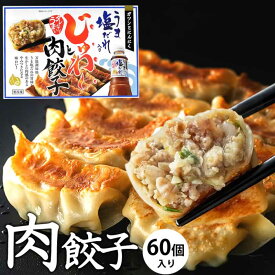 うま塩だれ肉餃子 60個（15個入×4）ぎょうざ ギョウザ 冷凍 国産 生餃子 冷凍餃子 簡単 にんにく 小分け お取り寄せ 【冷凍品】 冷凍品以外同梱不可★★