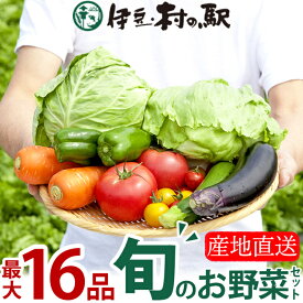 ≪定期購入OK≫ 楽天ランキング連続1位★伊豆のお野菜セット リニューアルで8品以上確定！お中元ギフト お祝い お返し 御中元などプレゼントにも おまかせ季節の野菜詰合せセット 産地直送 季節野菜 送料無料やさいセット 伊豆村の駅
