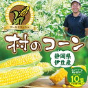 ≪エントリーで最大P10倍！≫ 今期解禁！送料込 鉄腕DASHで紹介★村のコーン とうもろこし ゴールドラッシュ 鉄腕ダッシュ（2kg前後 6～8本入）お中元 御中元 ギフト プレゼント 朝採り 朝採れ お取り寄せ お取り寄せグルメ 送料無料 お中元ギフト 御中元プレゼント