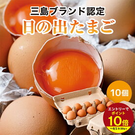 ≪本日エントリーP10倍★≫＼ZIP＆ヒルナンデスで紹介！／ ブランド生たまご 日の出たまご 10個セット 驚きの弾力★数量限定の卵 卵がけごはん ゆでタマゴにも 御歳暮ギフト お歳暮ギフト 贈り物 贈答 誕生日プレゼント お祝い プチギフト 伊豆村の駅 TAMAGOYA 冷蔵便 TV2511
