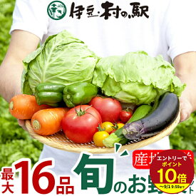 ≪本日エントリーP10倍★≫≪定期購入OK≫ 楽天ランキング連続1位★伊豆の野菜セット リニューアルで8品以上確定お野菜セット！お中元ギフト お祝い お返し 御中元などプレゼントにも おまかせ季節の野菜詰合せセット 産地直送 季節野菜 送料無料やさいセット 伊豆村の駅