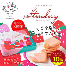 ≪本日エントリーP10倍★≫プチギフト いちごBonBonBerry あかいろいちごのラングドシャ 苺チョコレート スイーツ 個包装 お菓子 かわいい 会社 お配り お礼 ばらまき 職場 伊豆村の駅 ラングドシャクッキー チョコ 御歳暮ギフト お年賀 お歳暮ギフト プレゼント 2026