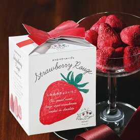 いちごBonBonBerry ストロベリールージュ スイーツ 個包装 お菓子 子供 かわいい 会社 お配り お礼 ばらまき 職場 伊豆村の駅 プチギフト プレゼント 彼女 妻 女性 染み込みチョコ しみチョコ フルーツチョコ フリーズドライ