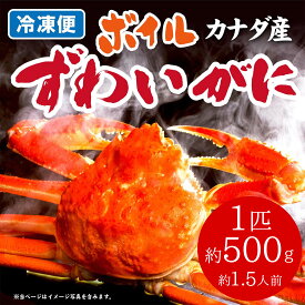 ≪スピード配送≫ ズワイガニ姿 ボイルずわいがに500g 1匹 ギフトお試し お取り寄せ ずわい蟹 かに カニ 食べ物 グルメ プレゼント プレゼント かわいい 伊豆村の駅 SUB